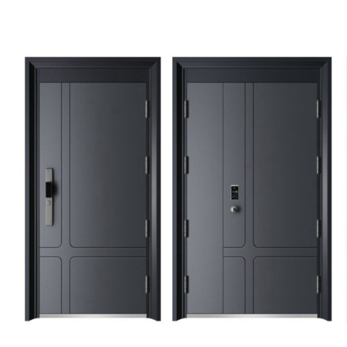 Armored Smart Door